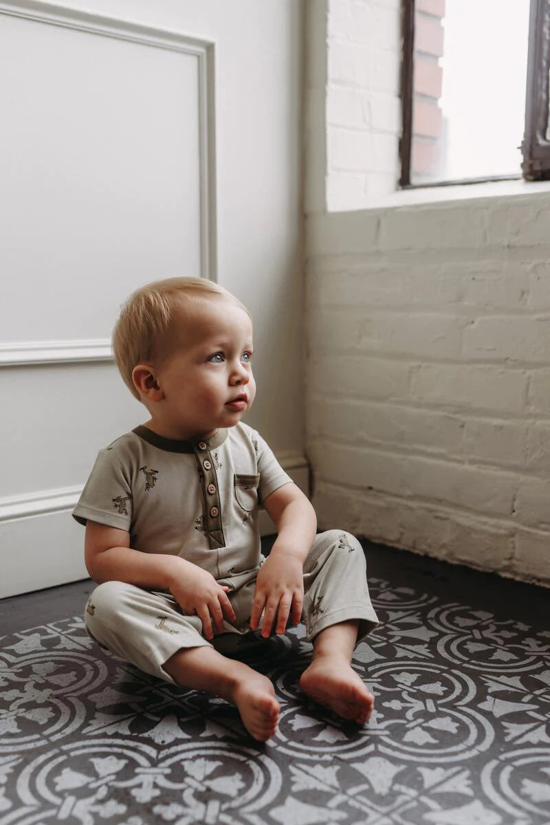 Henley Long Romper - Frogs | City Mouse
