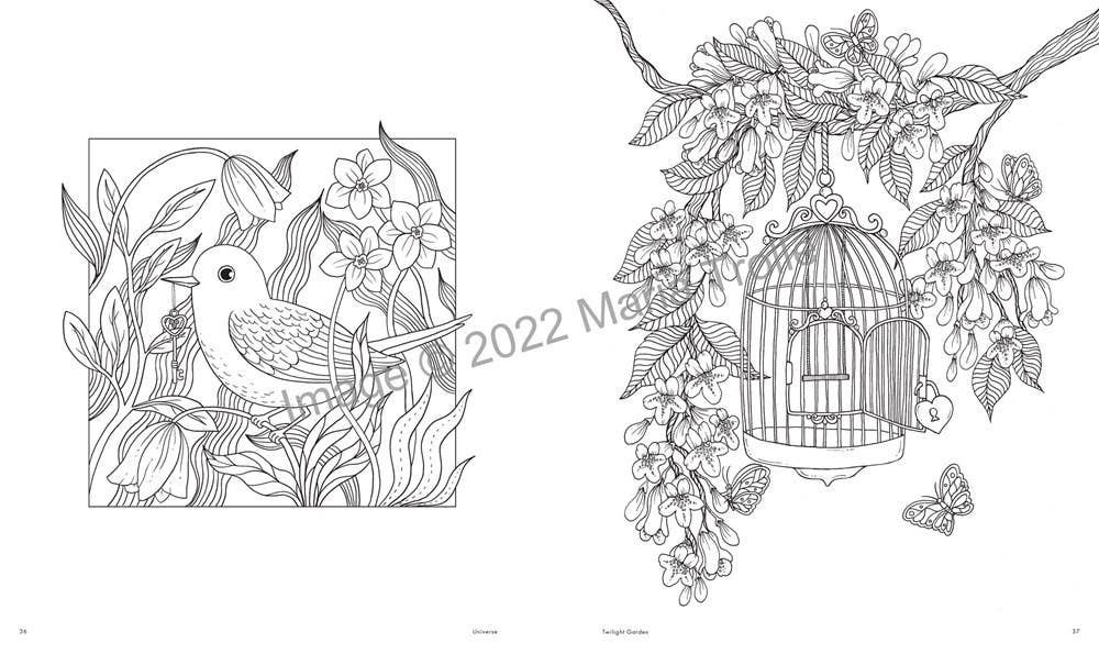 Maria Trolle’s Universe Coloring Book | Gibbs Smith