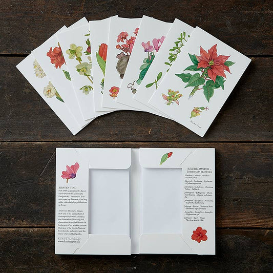Christmas Flowers Boxed Cards | Koustrup & Co