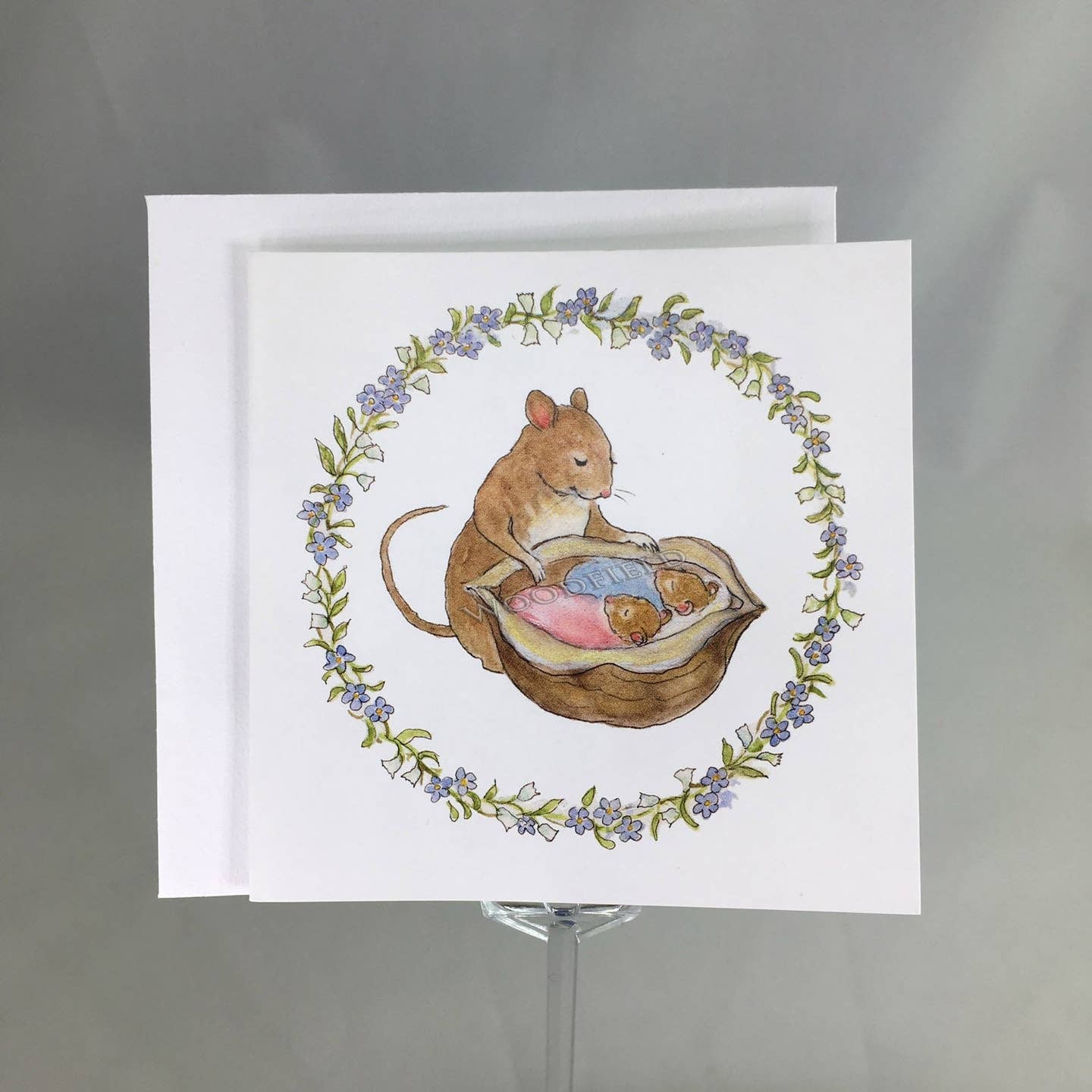 In a Nutshell Enclosure Card | Woodfield Press