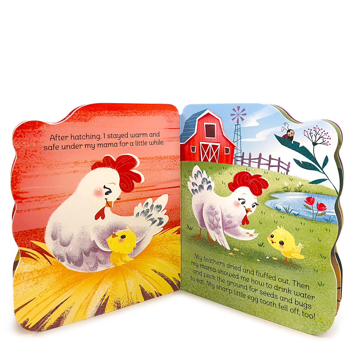 A Little Chick Board Book | Cottage Door Press