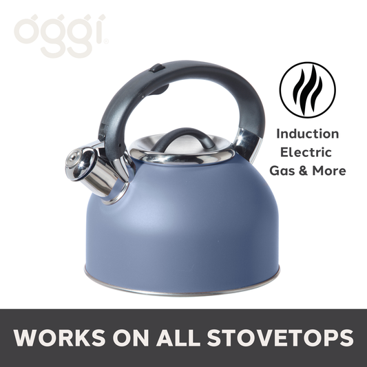Stainless Stovetop Whistling Tea Kettle (1.9 lt, 64 oz) | Oggi