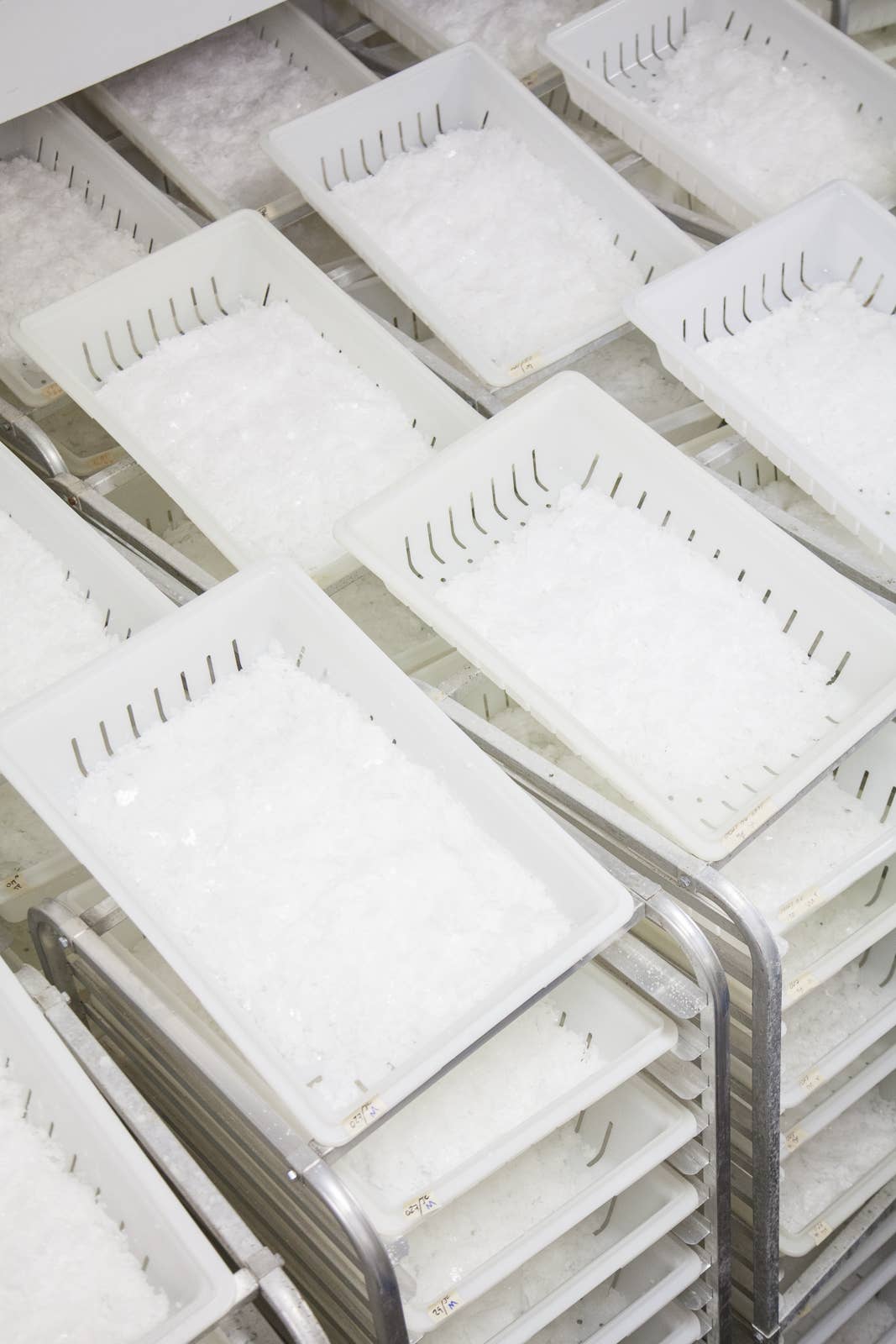 Pure Kosher Sea Salt - 1lb Canister | Jacobsen Salt Co.