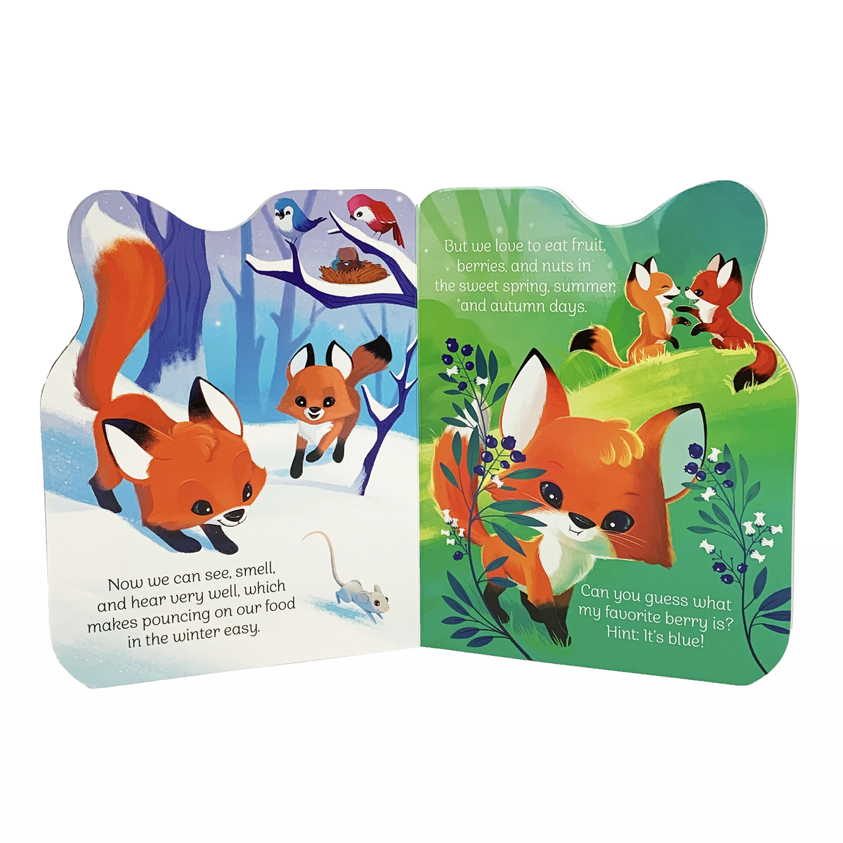 A Little Fox Board Book | Cottage Door Press