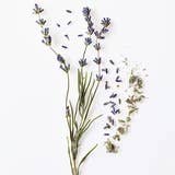 Culinary Lavender | La Boîte Spices