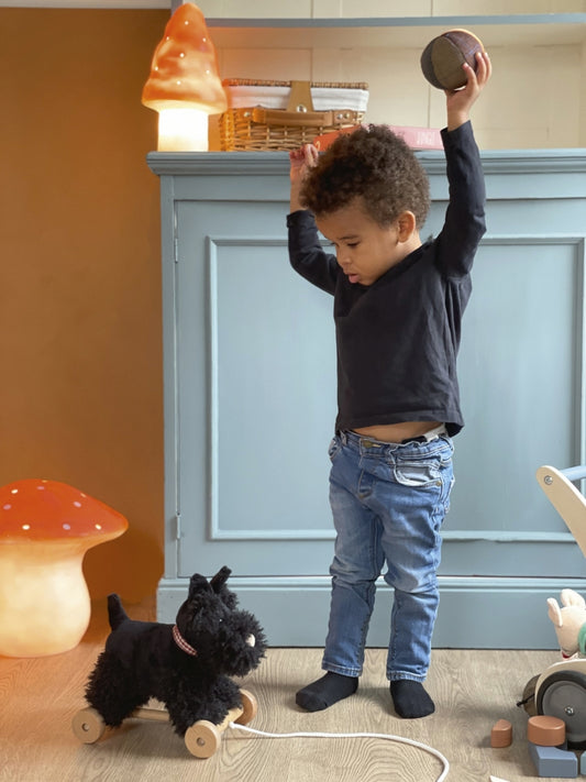 Pull-Along Walter | Egmont Toys