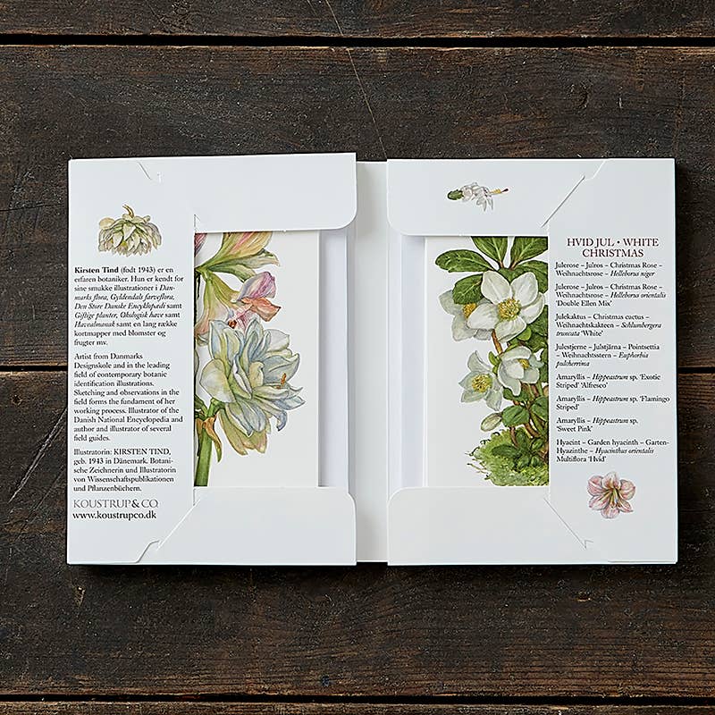White Christmas Flowers Boxed Cards | Koustrup & Co