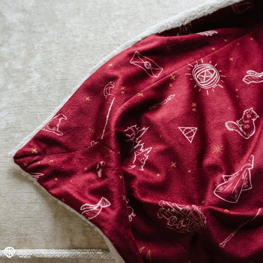 Harry Potter™ Icons Minky/Lush (Various Sizes) | Saranoni