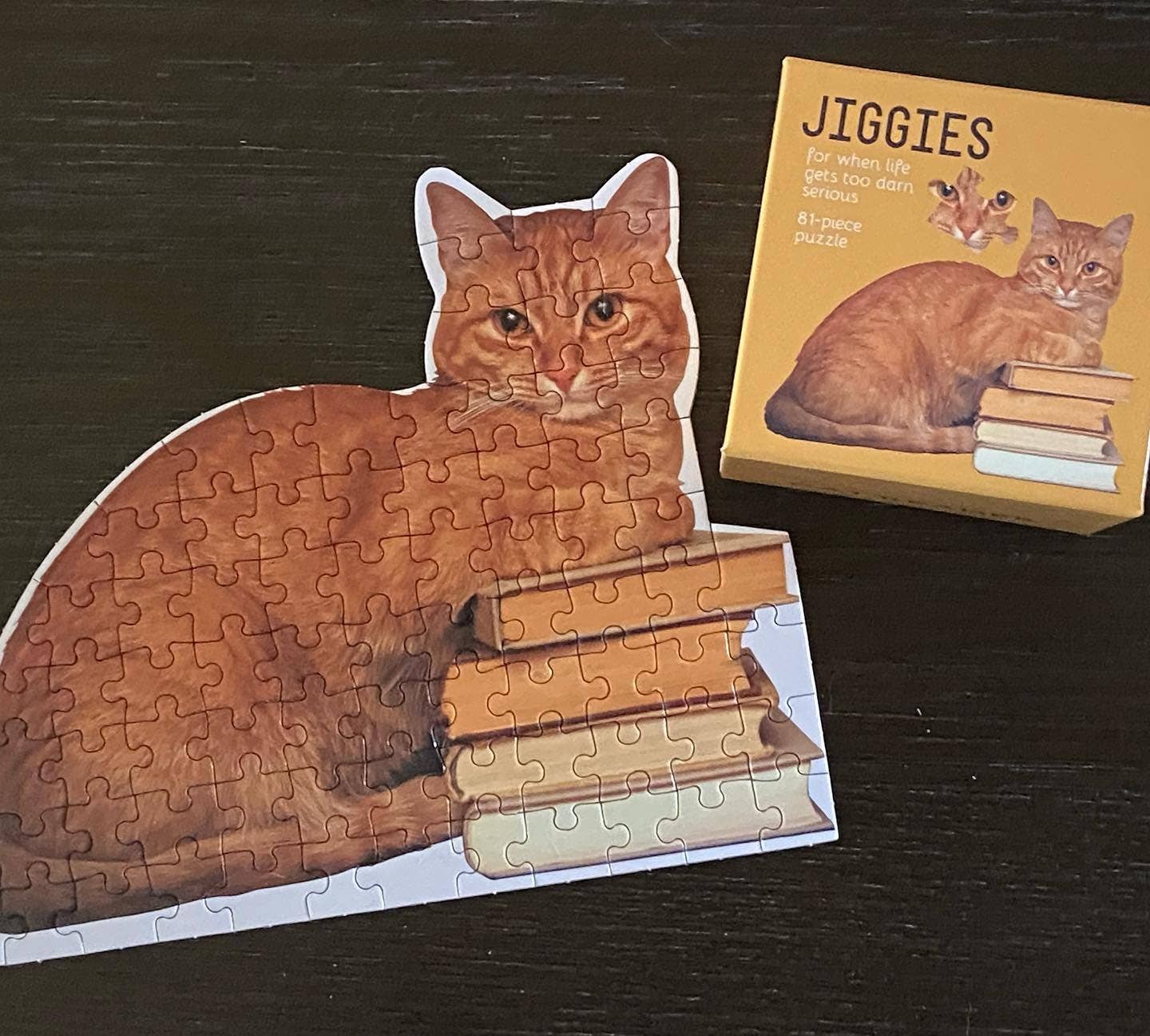 Cat Reader Jiggie Puzzle | Gibbs Smith