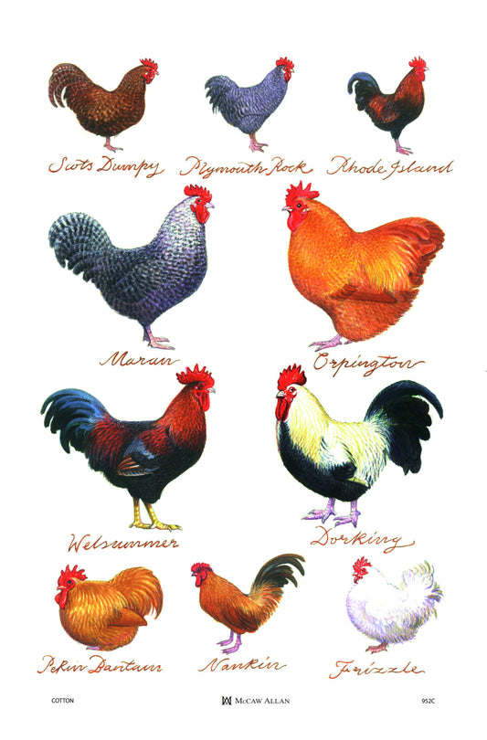 Chicken Breeds Cotton Tea Towel | Samuel Lamont & Sons