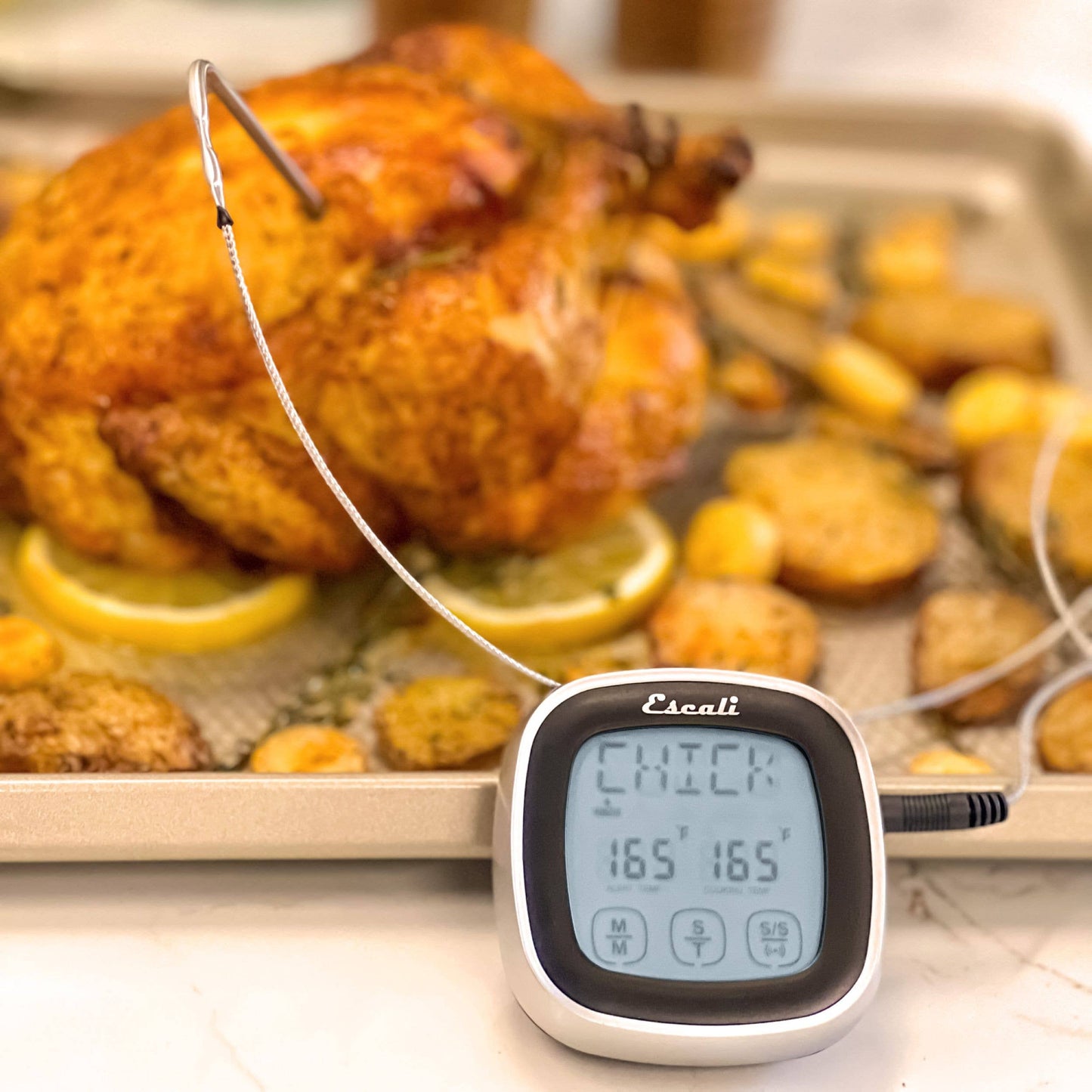 Escali Touch Screen Thermometer and Timer | Kitchen Supply Brands