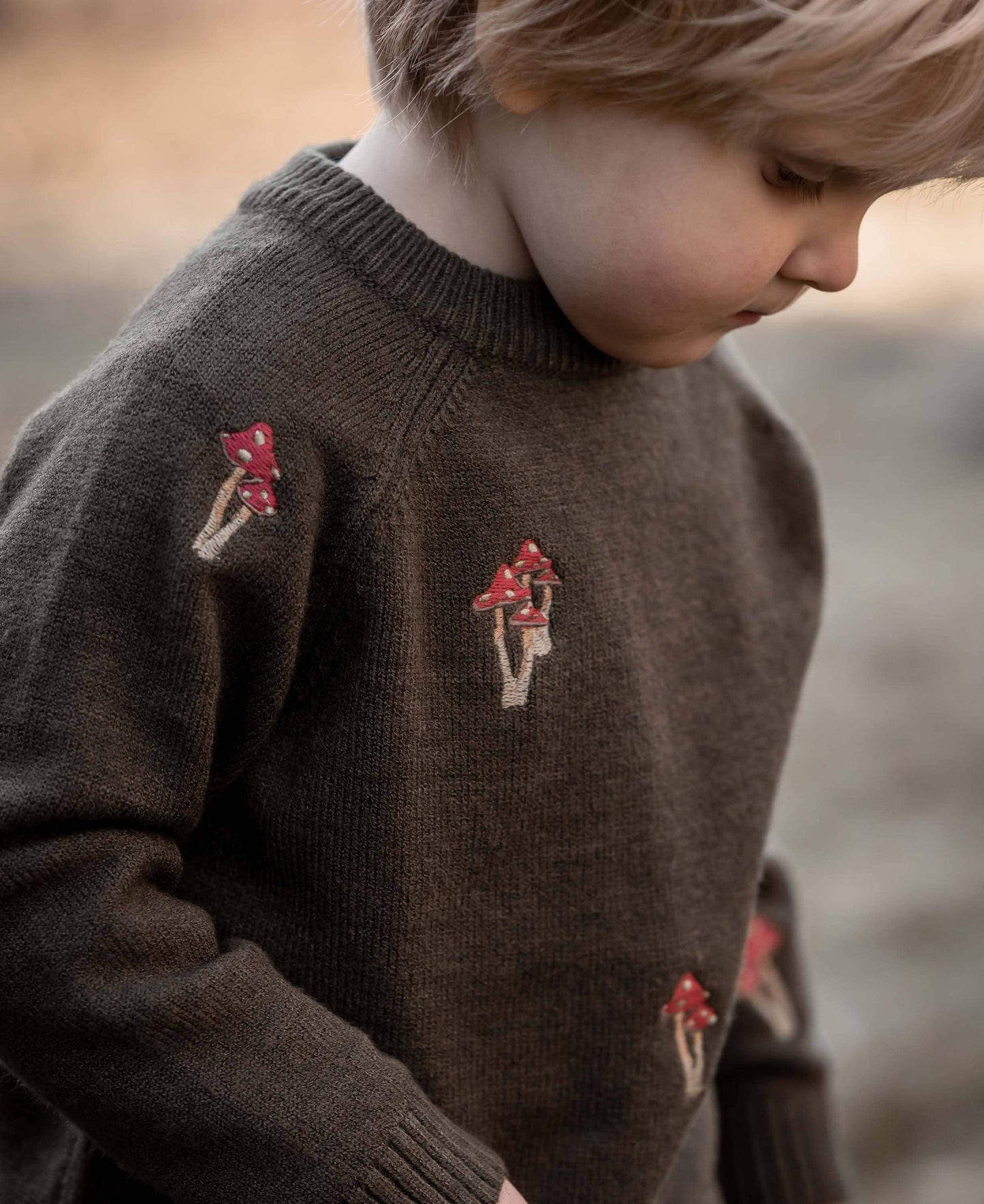 Benna Mushroom Pullover | Fliink Denmark