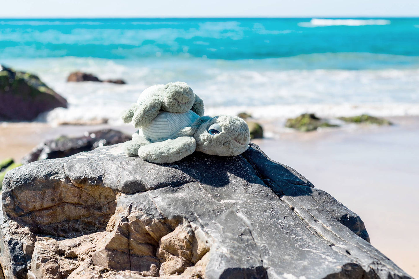 Little Tyler Turtle | OB