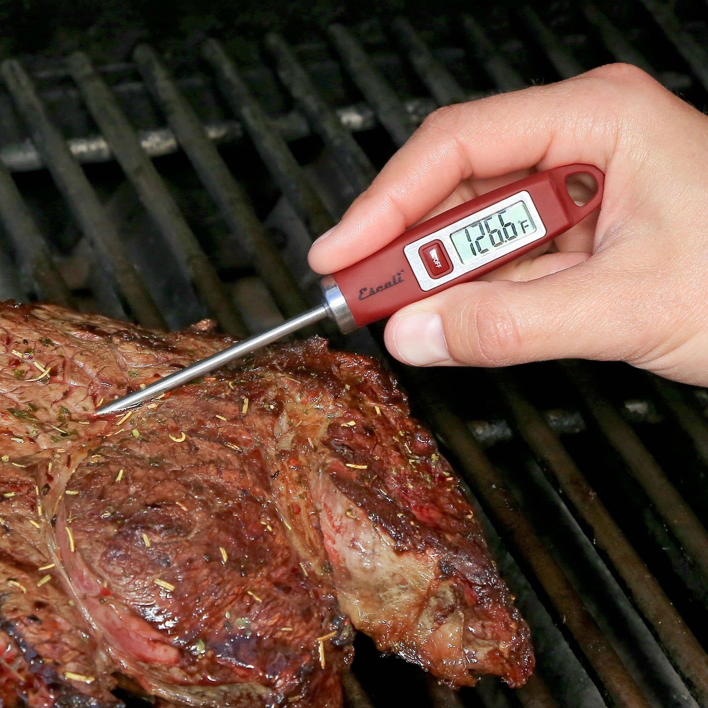Escali Gourmet Digital Thermometer | Kitchen Supply Brands