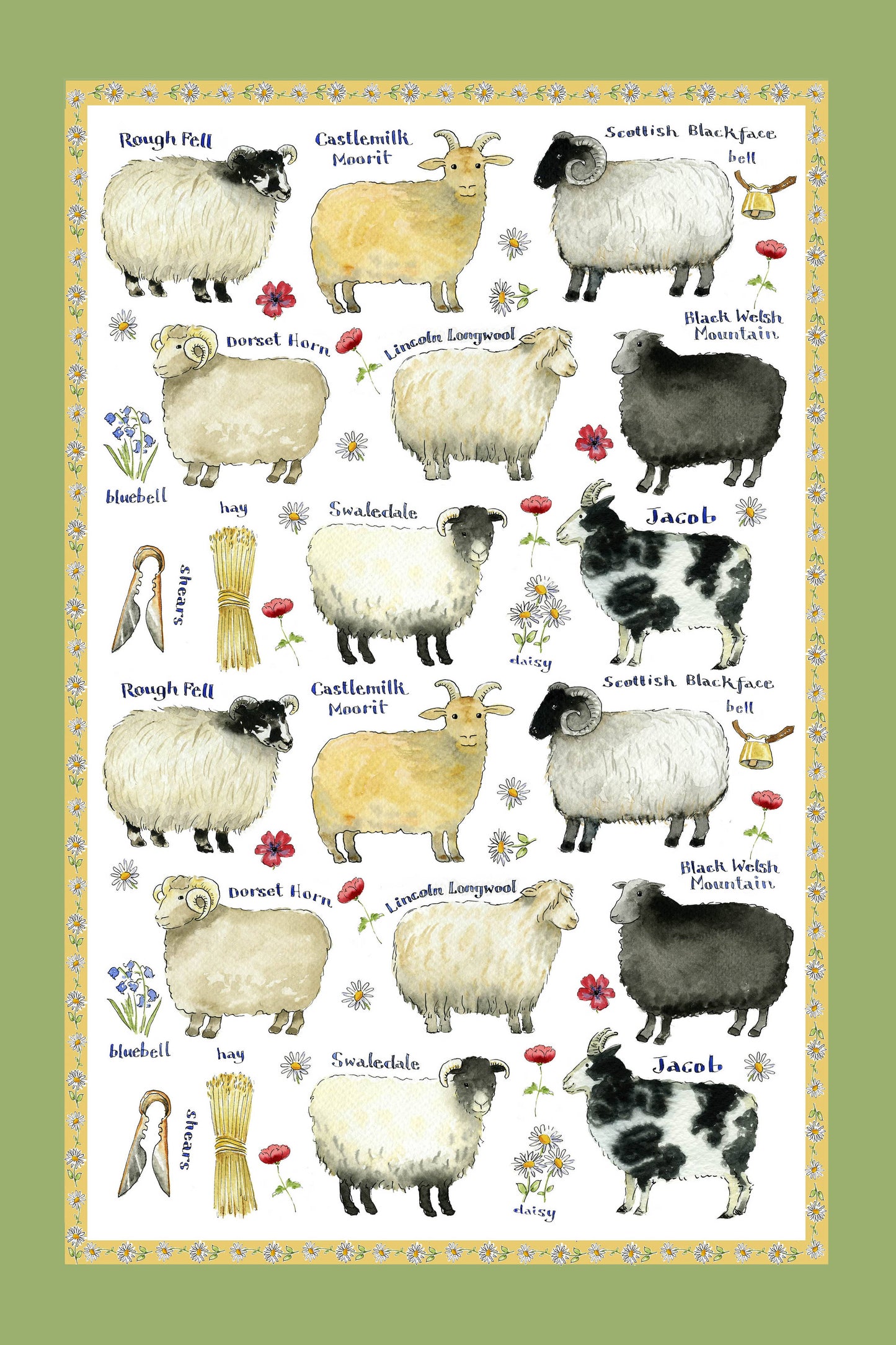 Sheep Breeds Cotton Tea Towel | Samuel Lamont