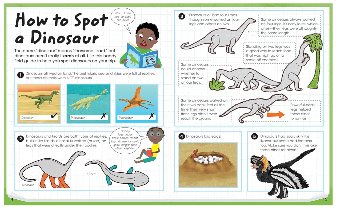 Dinosaur Facts and Activity Book with Stickers for Kids | Cottage Door Press