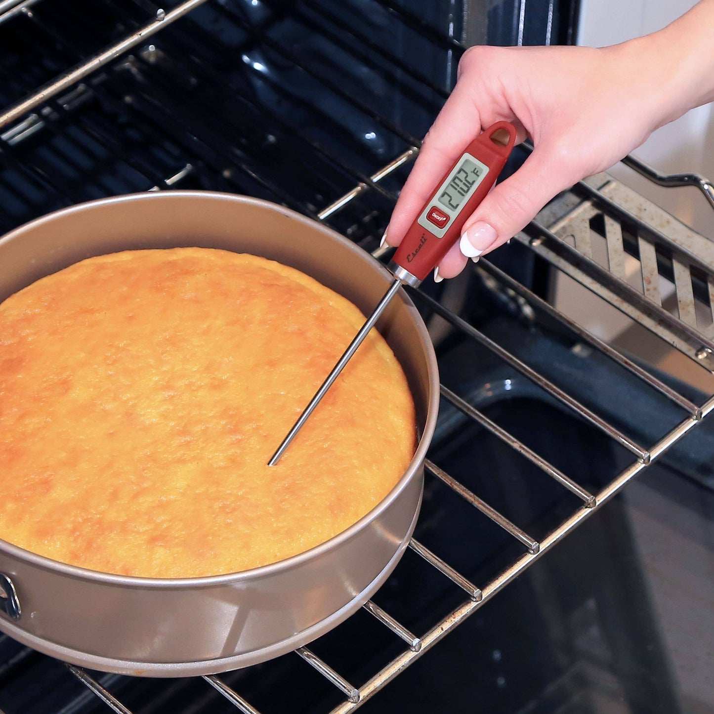 Escali Gourmet Digital Thermometer | Kitchen Supply Brands