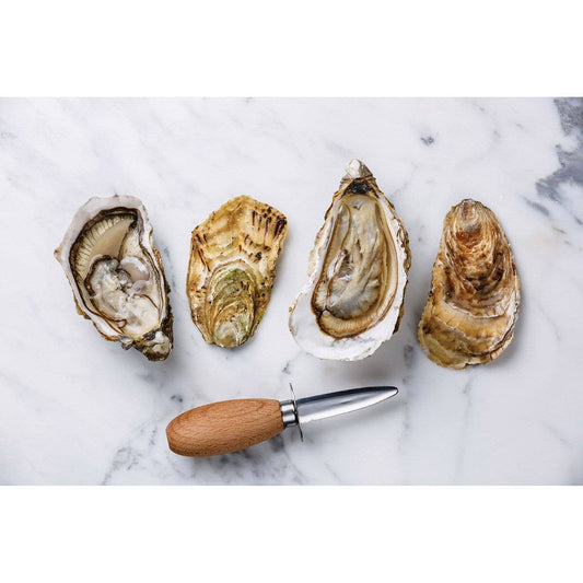 Maine Man Oyster Knife | HIC Kitchen