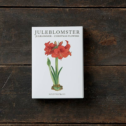 Christmas Flowers Boxed Cards | Koustrup & Co