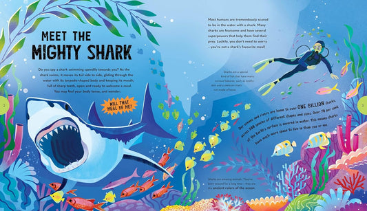 Sensational Sharks | Tim Flannery