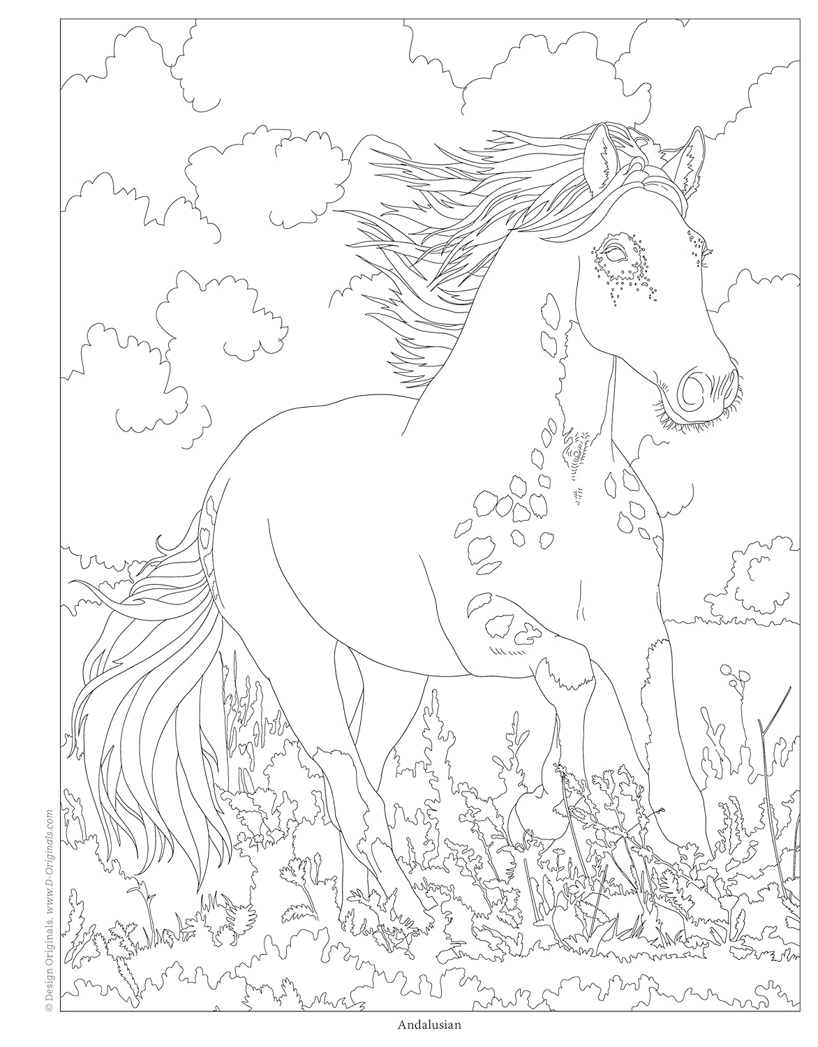 Horses Coloring Book | Veronica Hue
