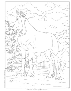 Horses Coloring Book | Veronica Hue