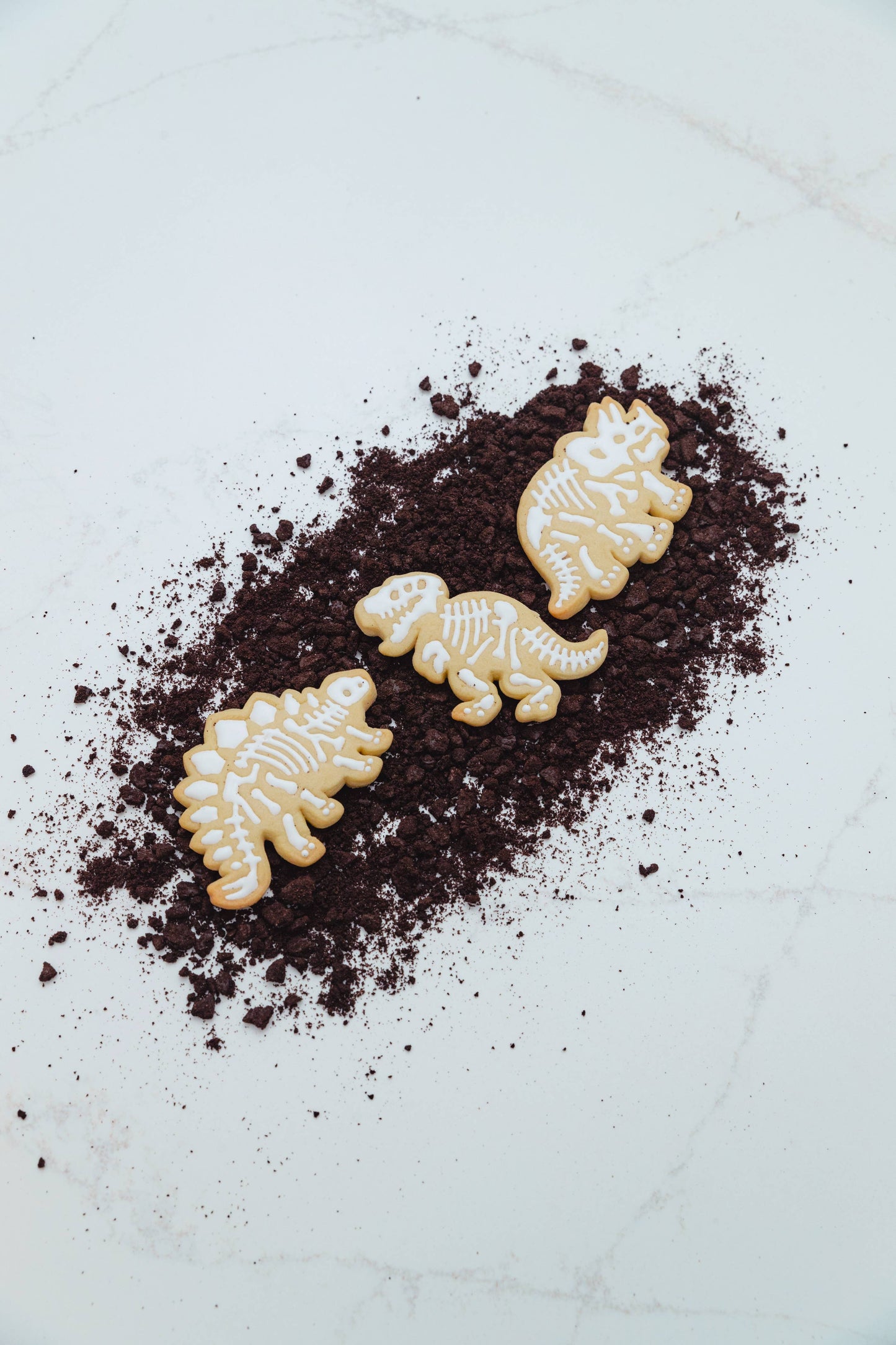 Fossil Fun Cookie Stamps – Set of 3 | Handstand Kitchen