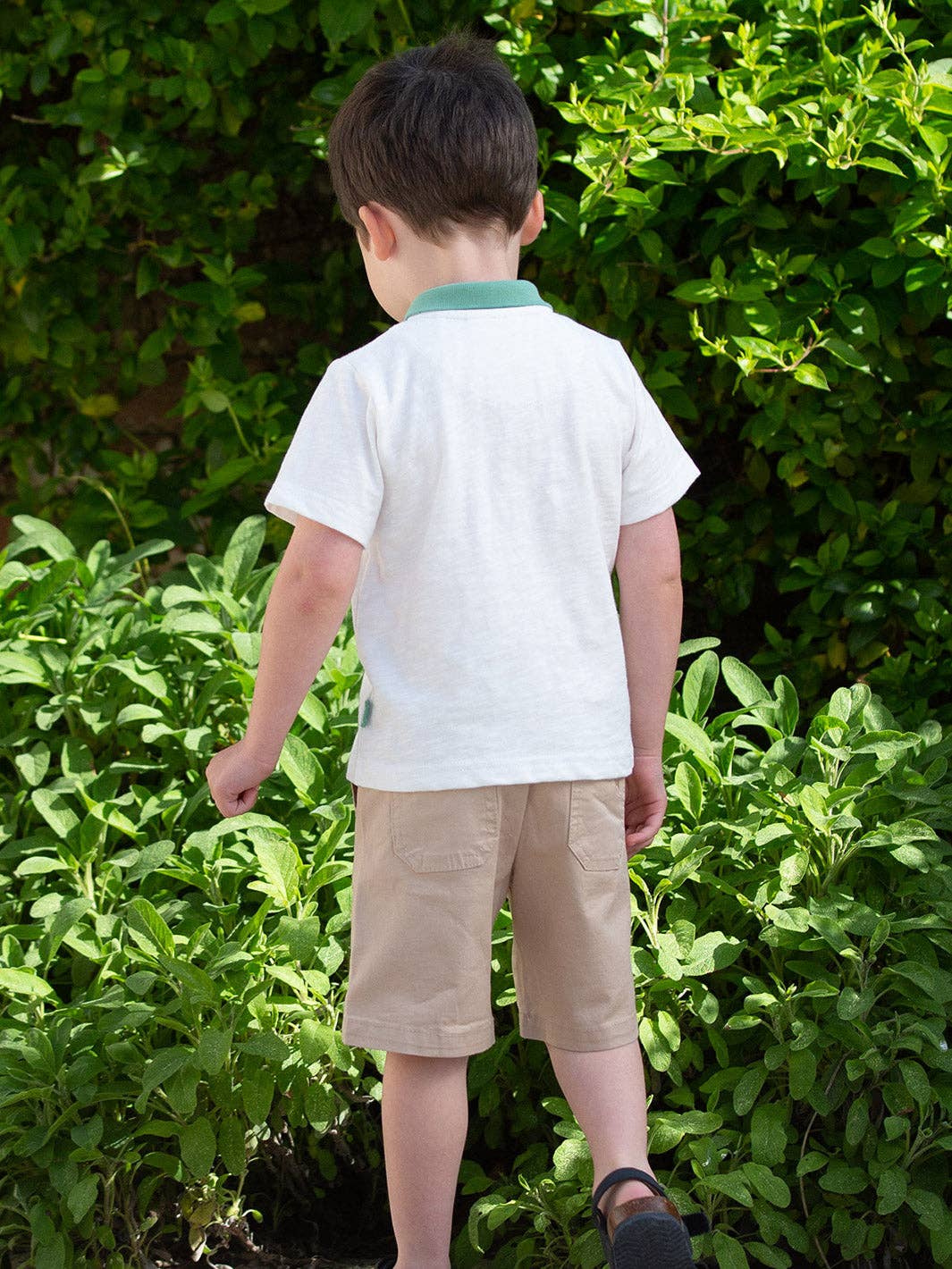 Rainforest Polo Shirt | Kite Clothing UK