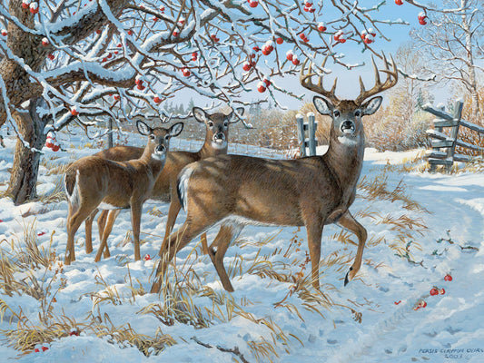 Winter Deer - 500pc Puzzle | Cobble Hill Puzzles