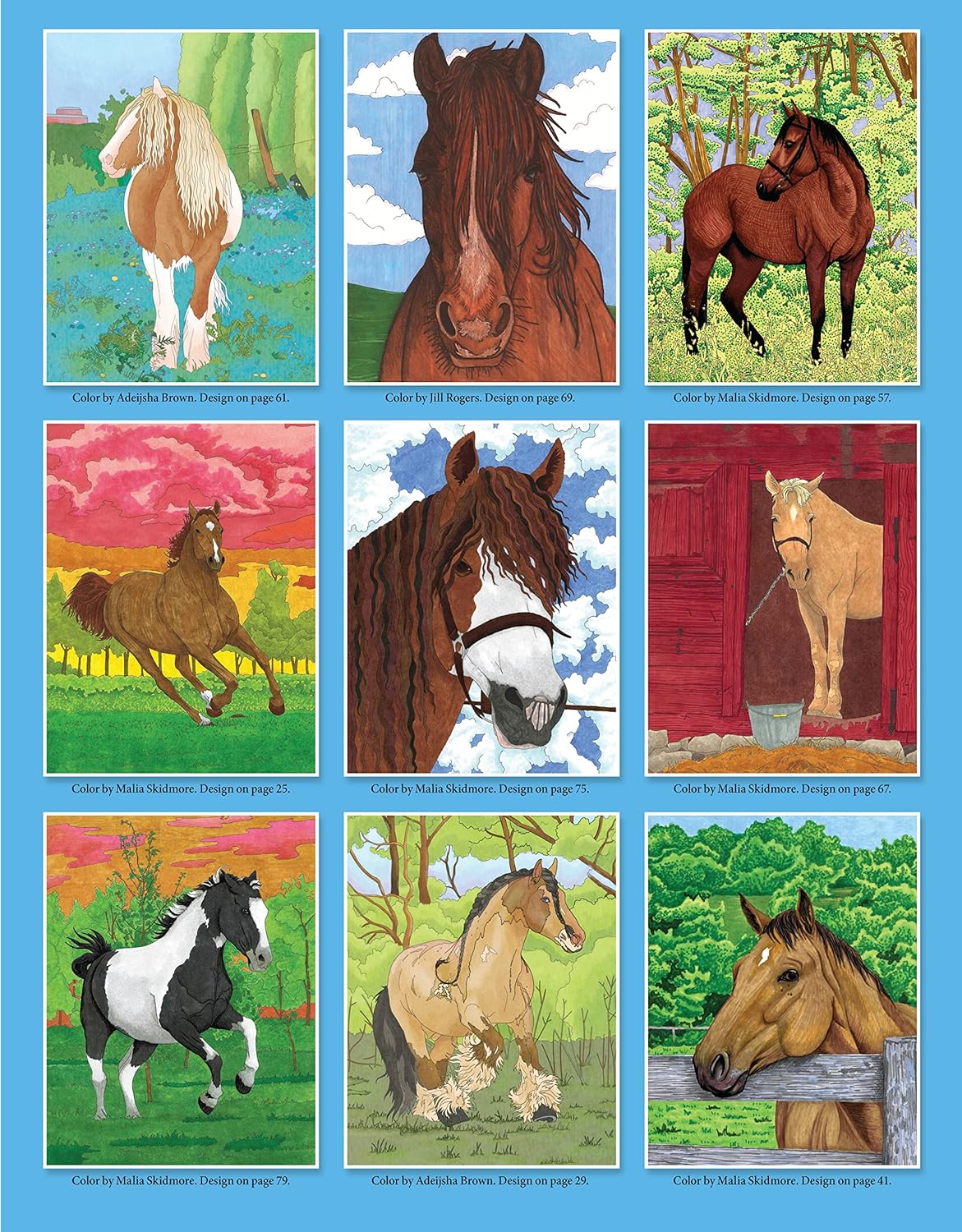 Horses Coloring Book | Veronica Hue