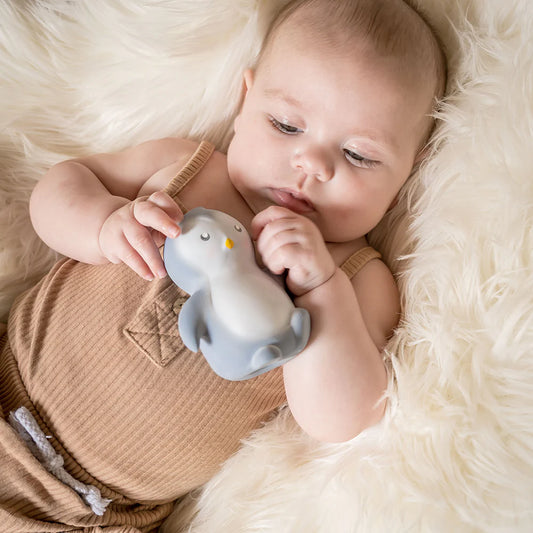 Penguin Natural Organic Rubber Toy | Tikiri Toys