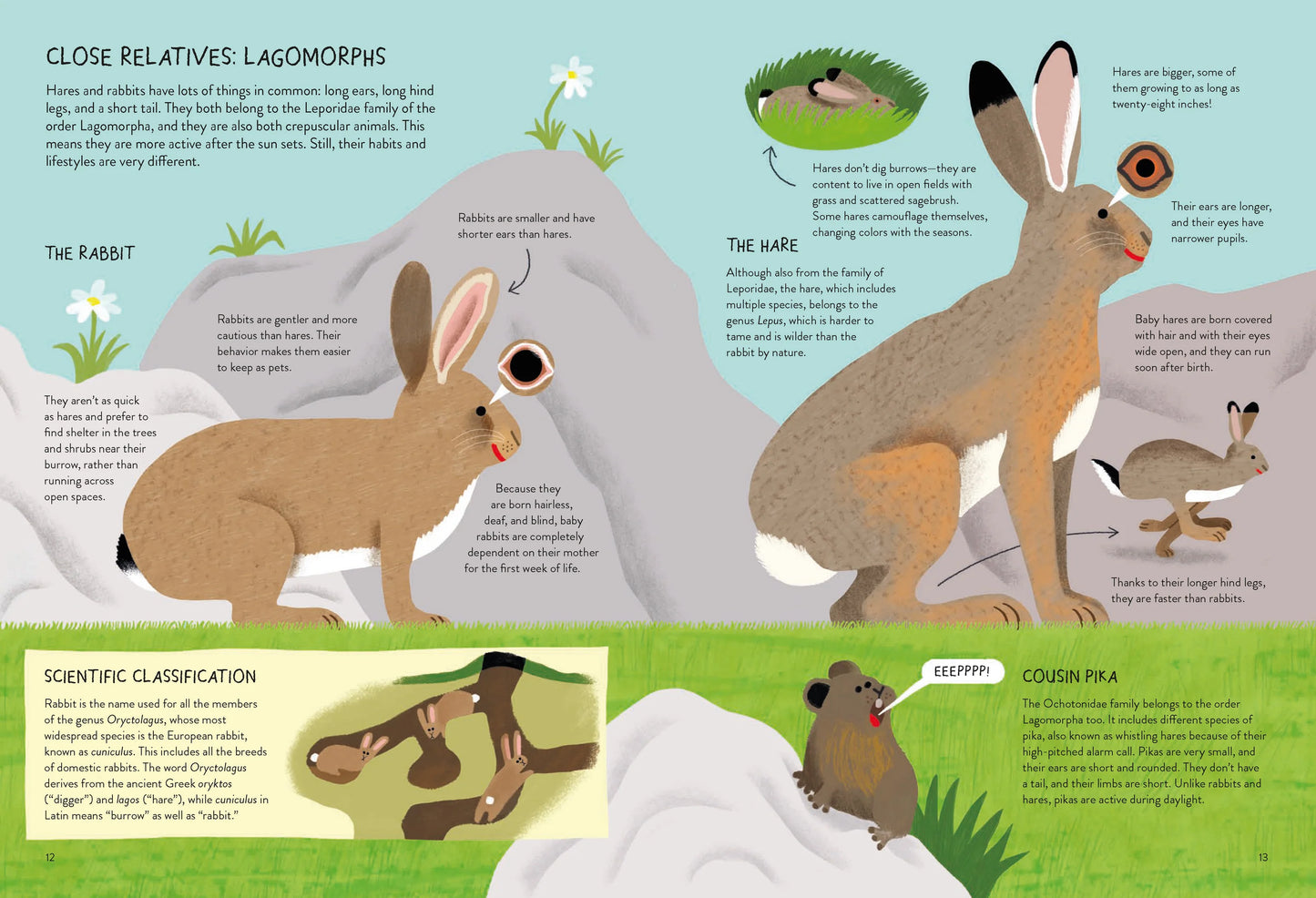 Rabbitology | Chronicle Books