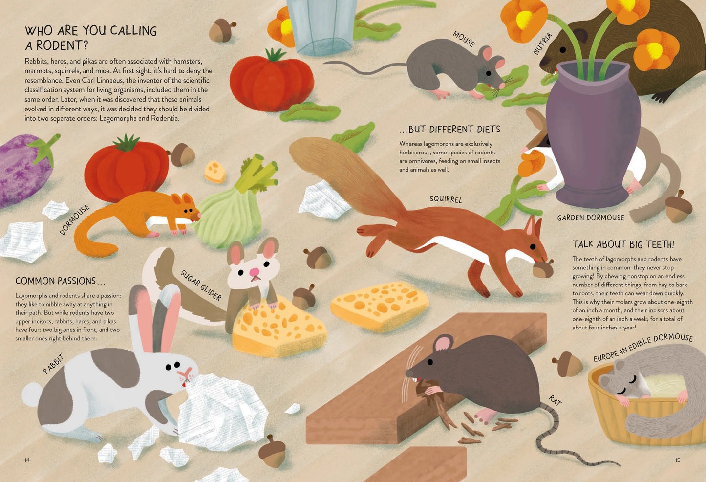 Rabbitology | Chronicle Books