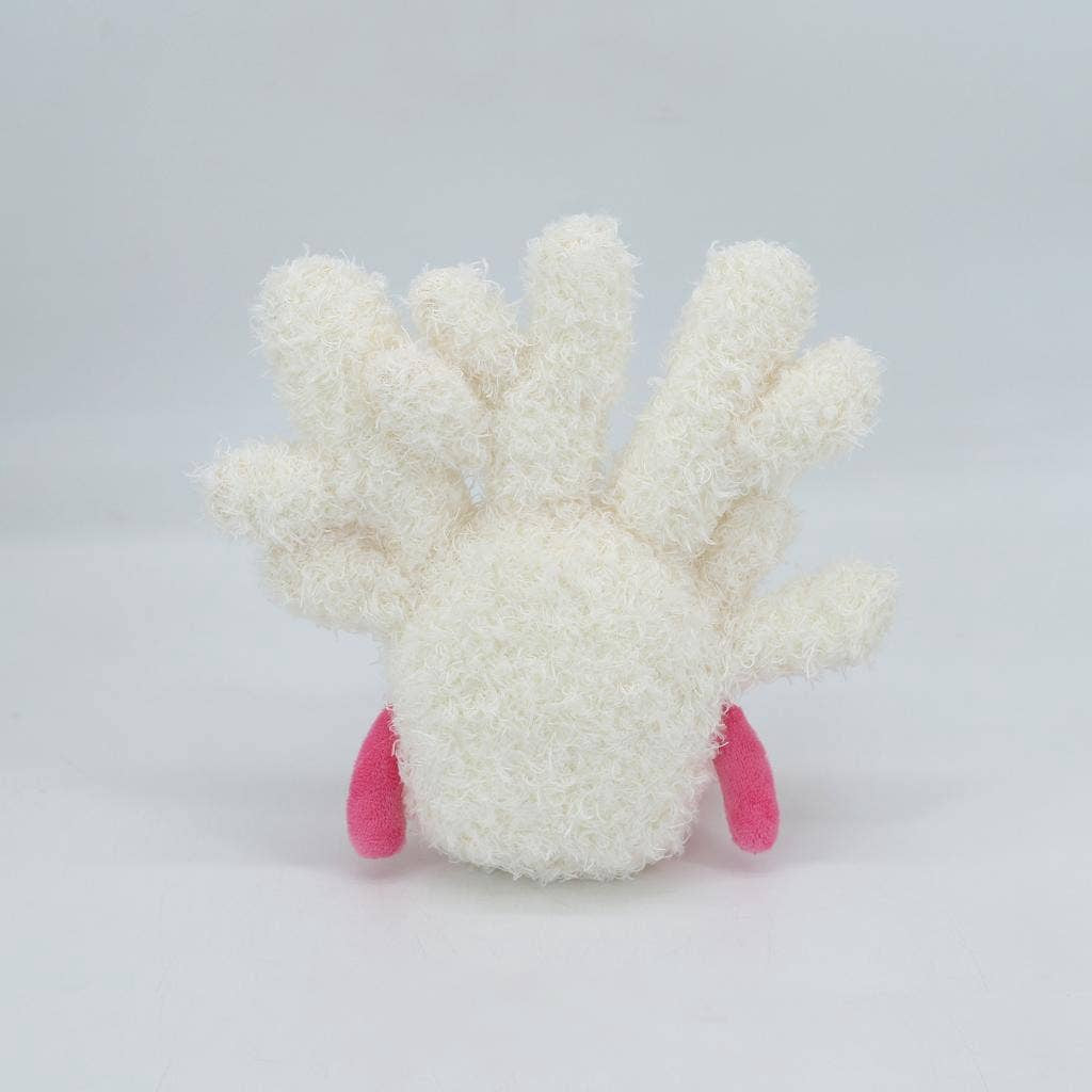 Cream and Pink Coral | Jomanda