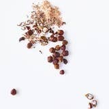 Grains of Paradise | La Boîte Spices