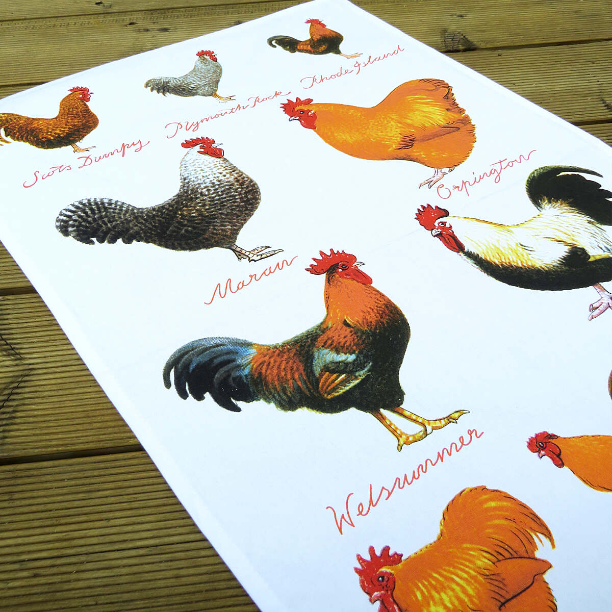 Chicken Breeds Cotton Tea Towel | Samuel Lamont & Sons