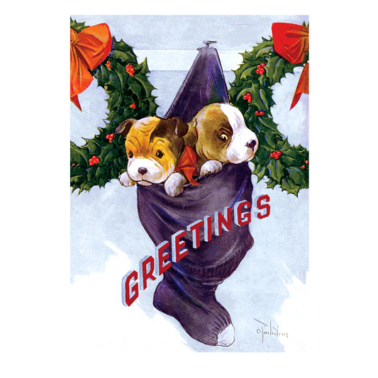Dogs at Christmas Boxed Card Set | Laughing Elephant