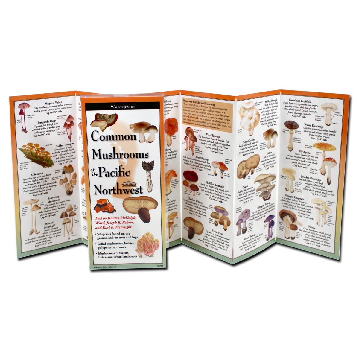 Folding Guides (Various Designs) | Earth Sky + Water