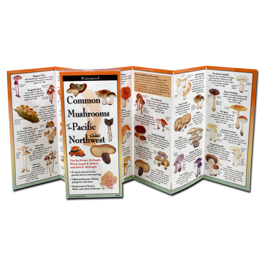 Folding Guides (Various Designs) | Earth Sky + Water