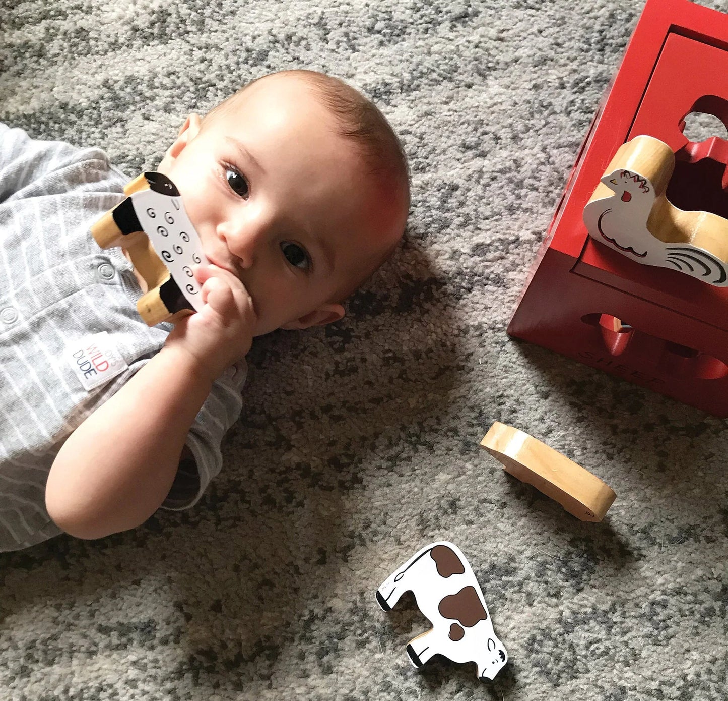Barnyard Sort & Play | Jack Rabbit Creations