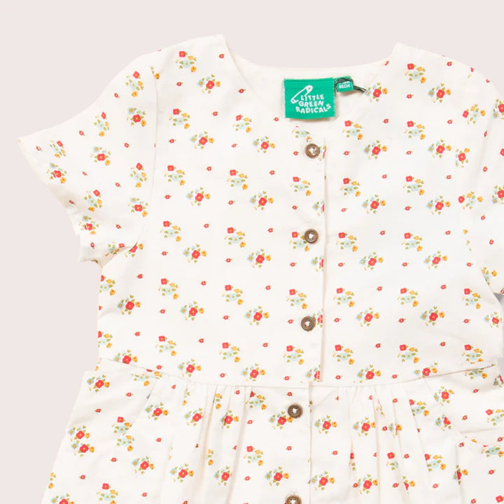 Flowers Button Through Dress/Little Green Radicals 3-4 years Flowers Button Through Dress/Little Green Radicals 3-4 years