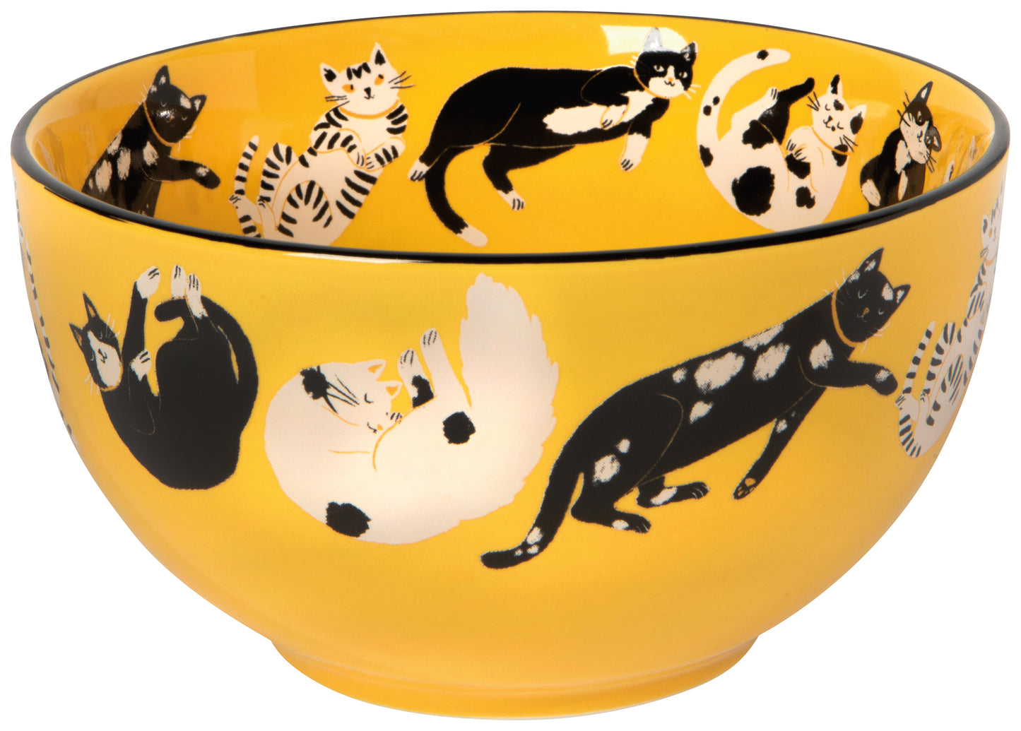 Meow & Furever Set/4 Bowls | Danica