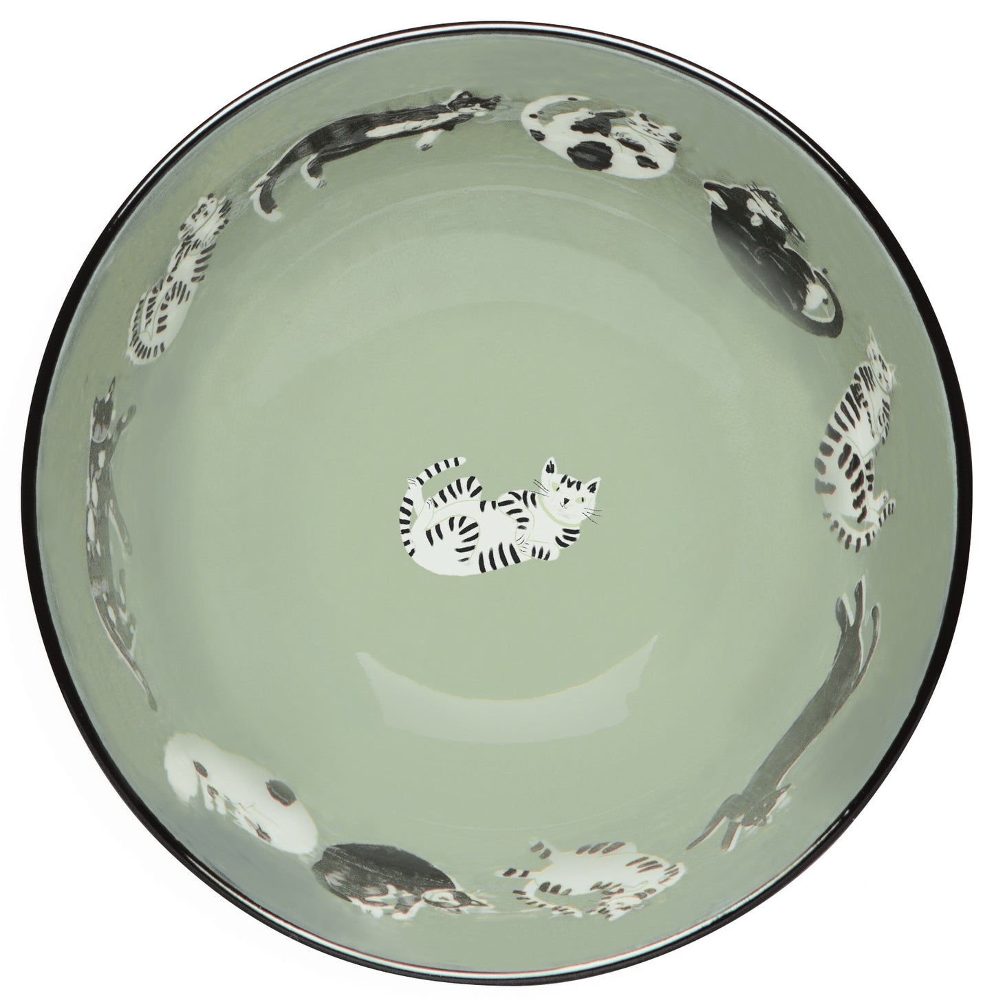 Meow & Furever Set/4 Bowls | Danica