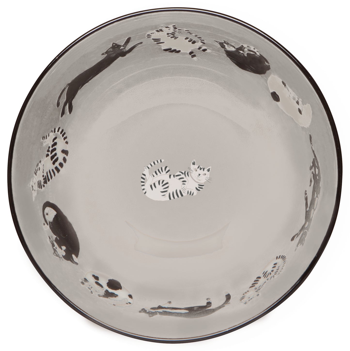 Meow & Furever Set/4 Bowls | Danica