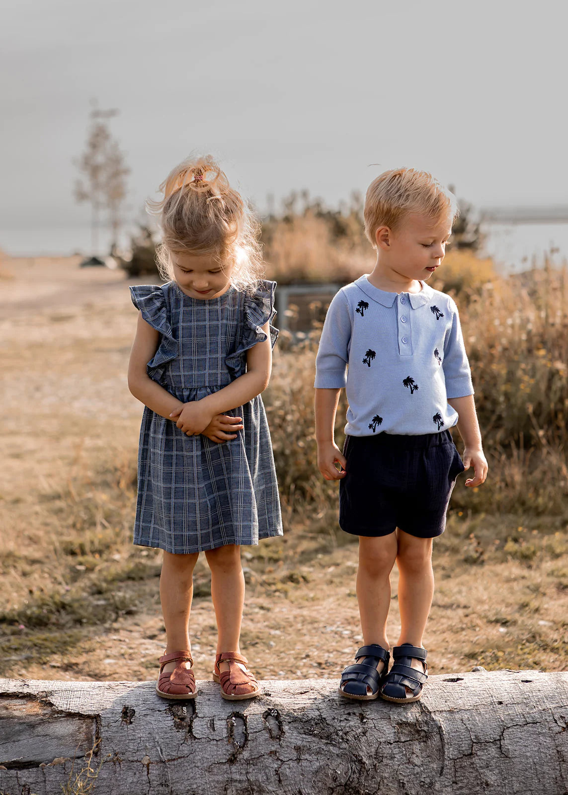 Miro Ruffle Dress - Navy | Fliink