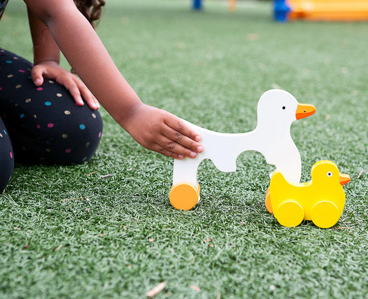 Big & Little Duck Roller | Jack Rabbit Creations