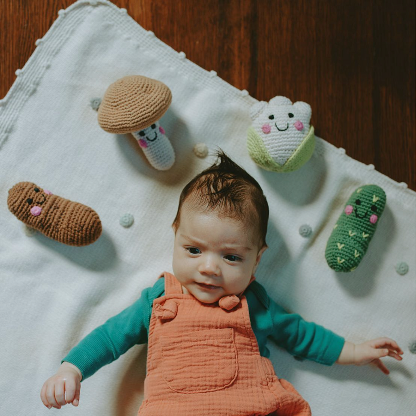 Handmade Friendly Plush Rattle (Various Fruits & Veggies) | Pebble
