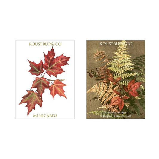 Ferns Mini Boxed Cards | Koustrup & Co