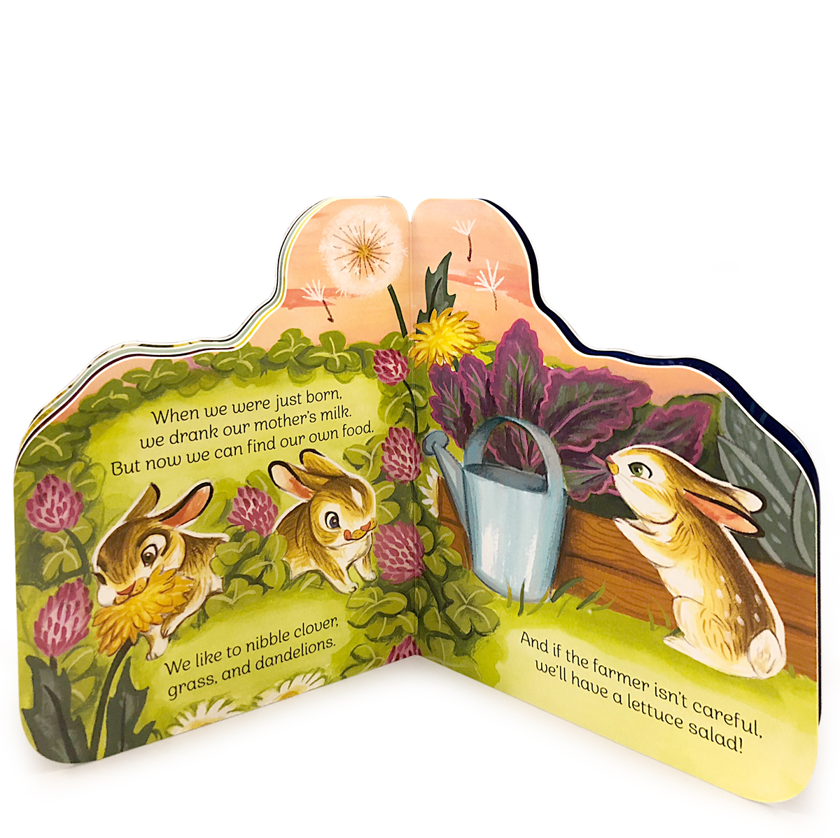 A Little Bunny Board Book | Cottage Door Press