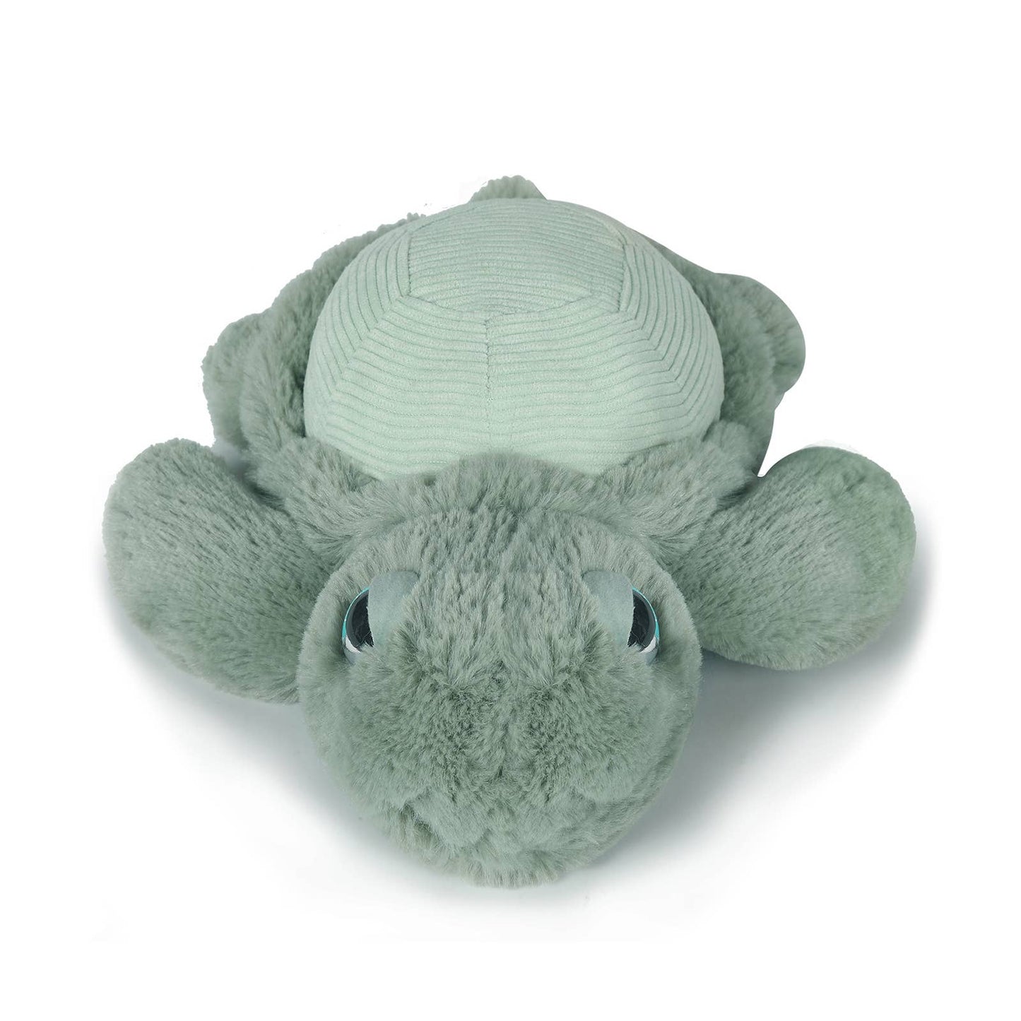 Little Tyler Turtle | OB